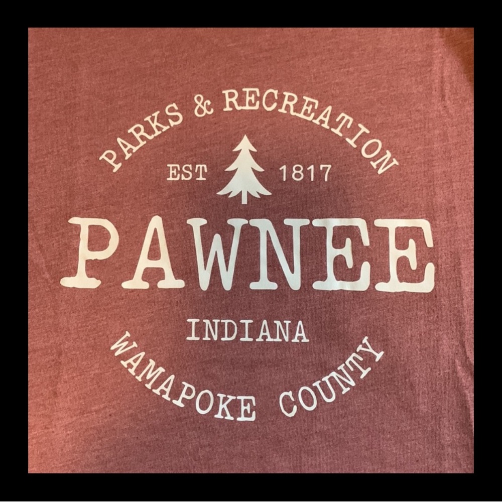 Parks & Rec Tee - Picture 3 of 4